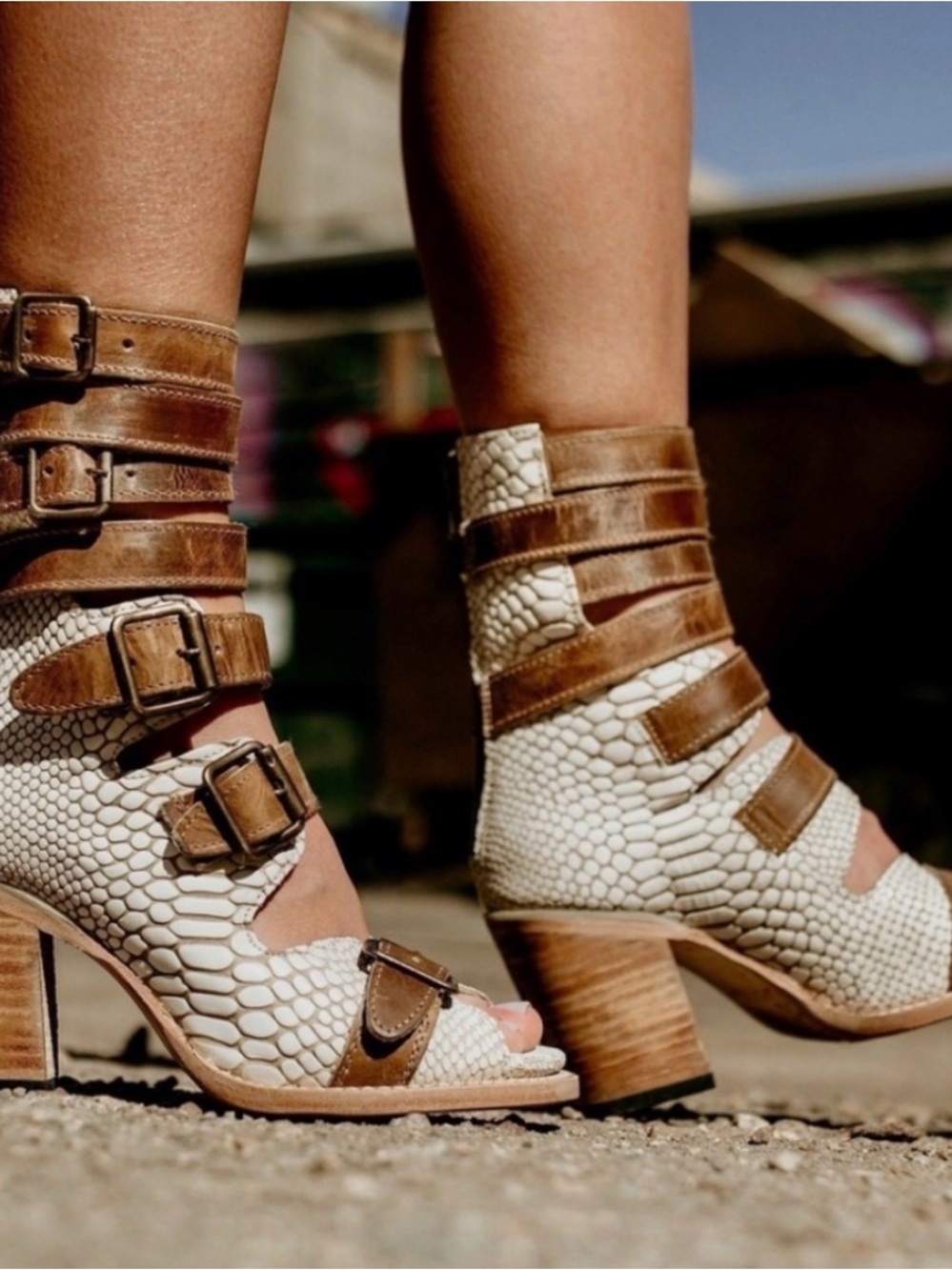 Freebird by Steven BOND Cream Snake-Embossed & Brown Leather Buckle Sandals
